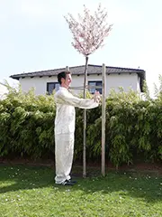 Berge schieben Qi Gong