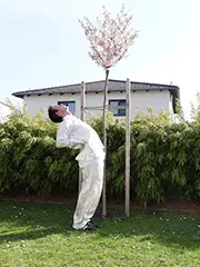 Nieren nähren Qi Gong