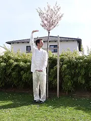 Plucking Stars Qi Gong