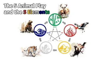 5 Animal Play and the 5 Elements Qi Gong Course