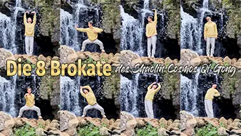 8 Pieces of Brocade Qi Gong Course