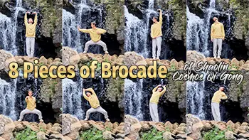 8 Pieces of Brocade Qi Gong Course