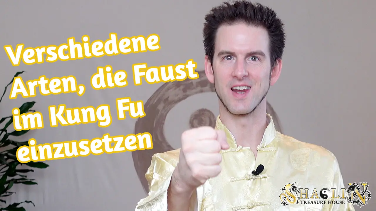 Video - Verschiedene Arten, die Faust im Kung Fu einzusetzen
