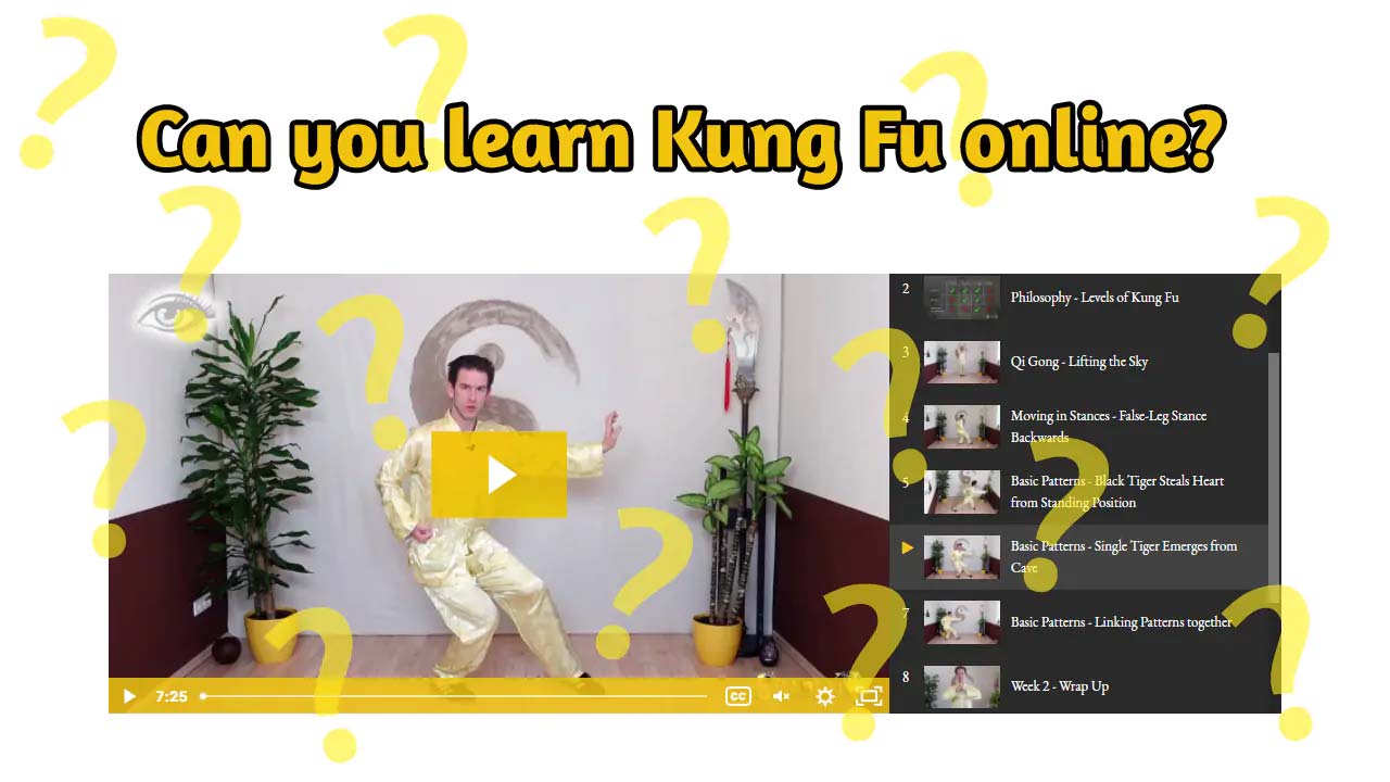 Fu Elearning Online Log In Can you learn Kung Fu online?