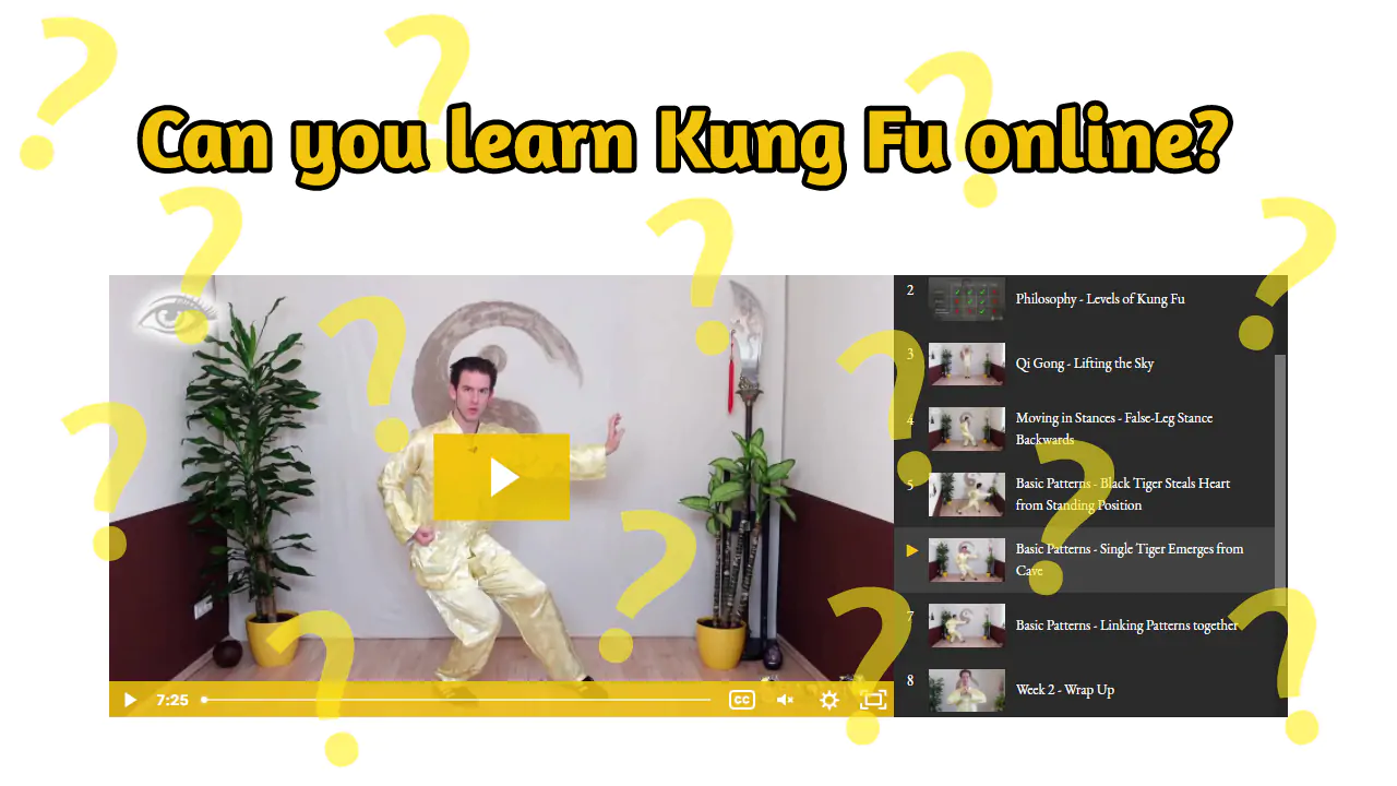 Can you learn Kung Fu online?