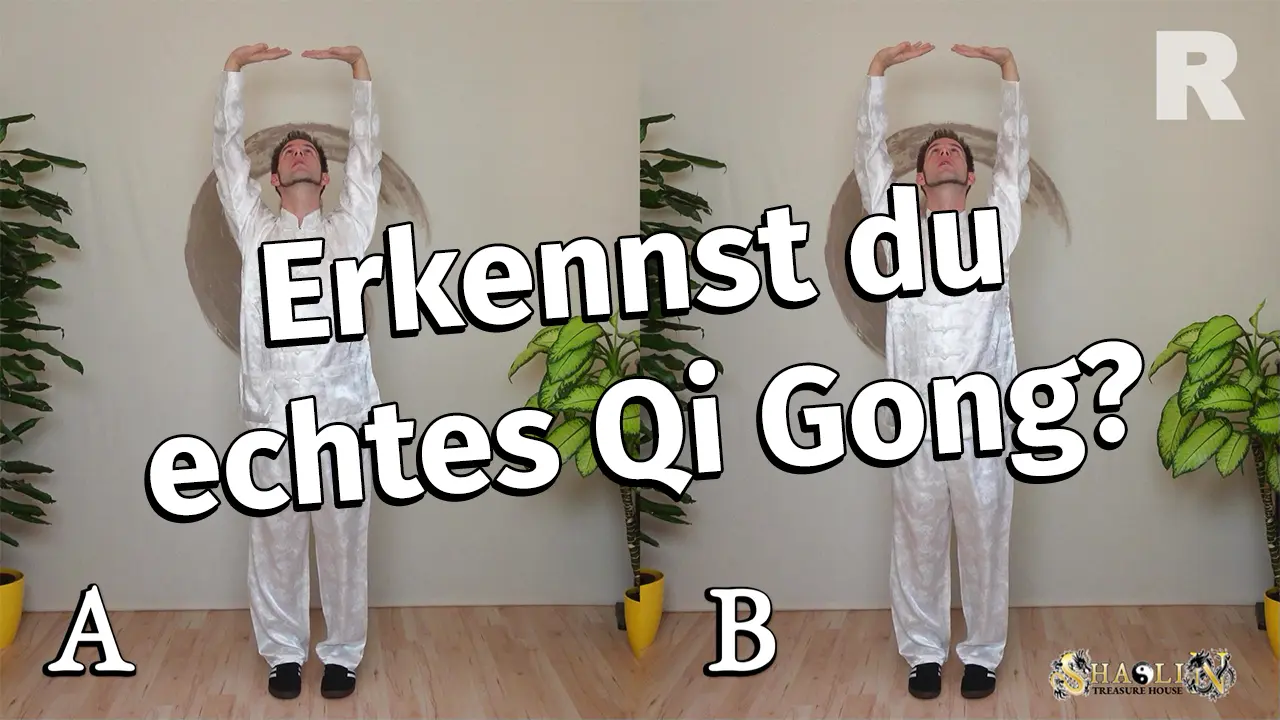 Erkennst du echtes Qi Gong?