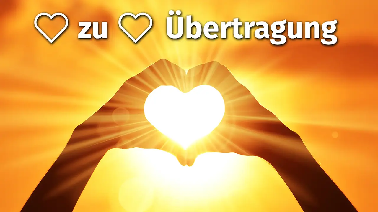 Die Herz-zu-Herz-Übertragung