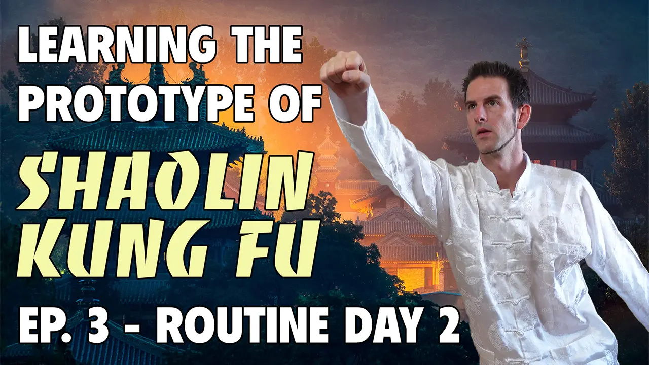 Learning the Prototype of Shaolin Kung Fu 3