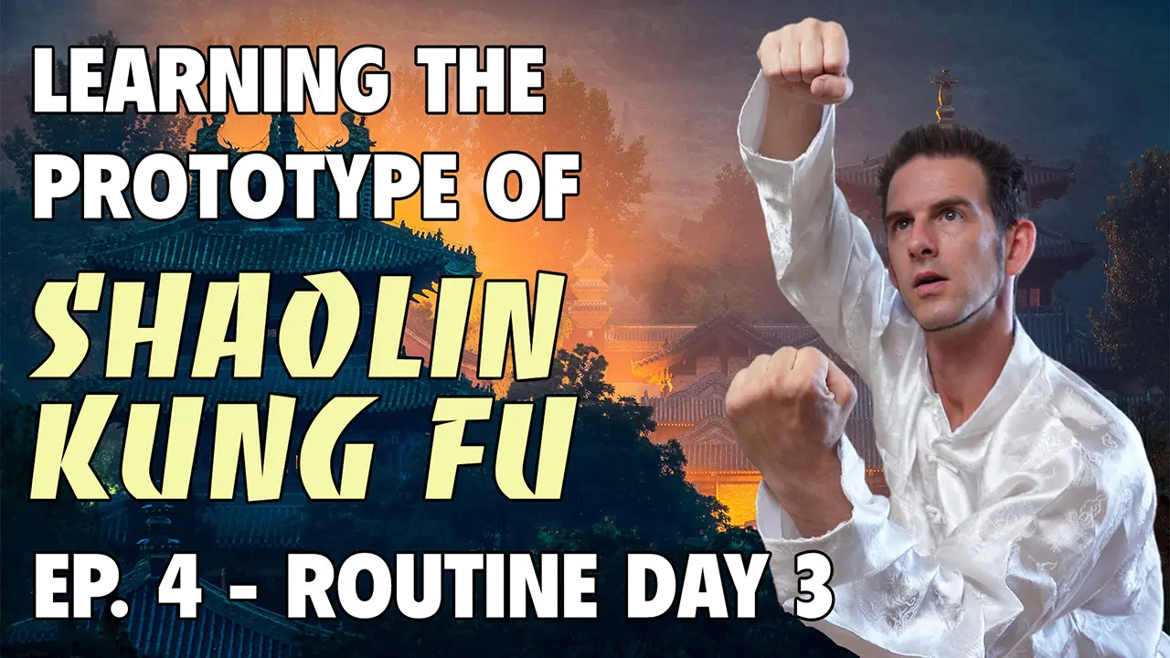 Learning the Prototype of Shaolin Kung Fu 4