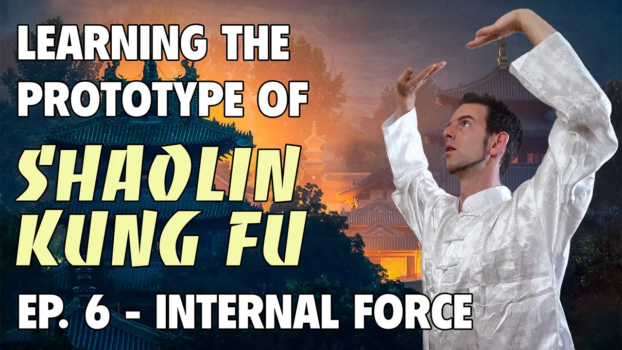 Learning the Prototype of Shaolin Kung Fu 6