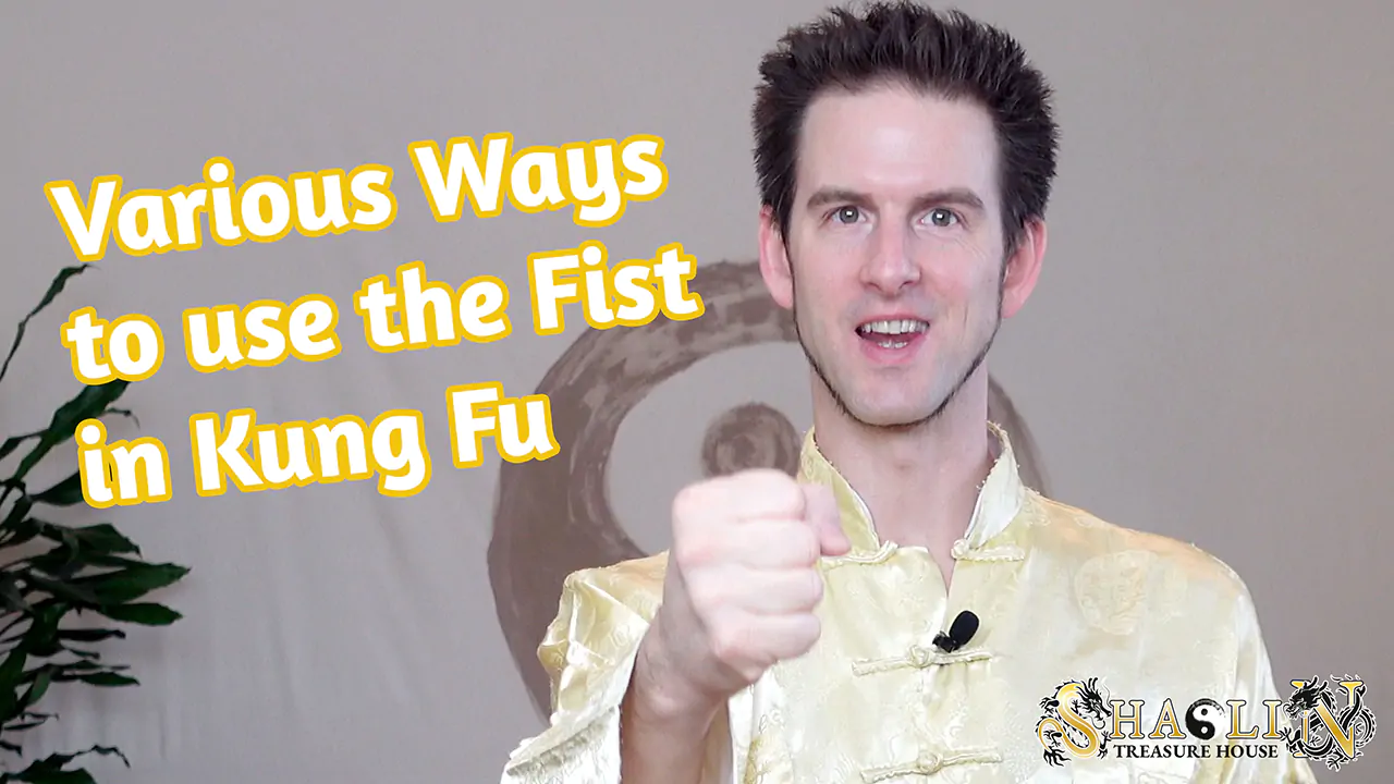 Video - Various Ways to use the Fist in Kung Fu
