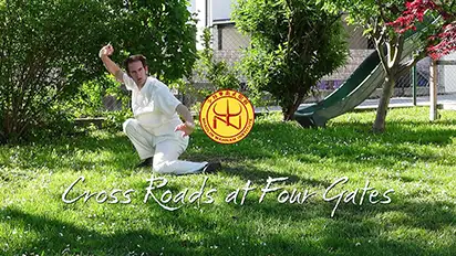 Catch a Tiger in the Mountain Kung Fu pattern