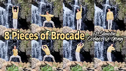 8 Pieces of Brocade of Shaolin Cosmos Qi Gong