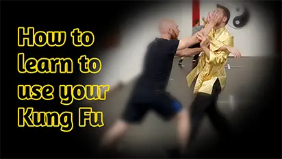 How to learn to use your Kung Fu