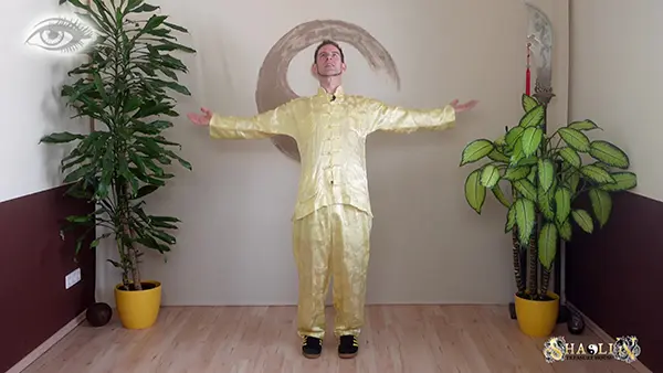 Bird Play of Five Animal Play Qi Gong