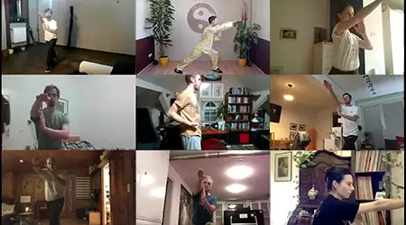 Livestream-Training