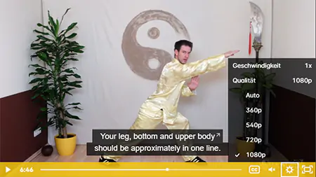 Shaolin Kung Fu Online Video Course
