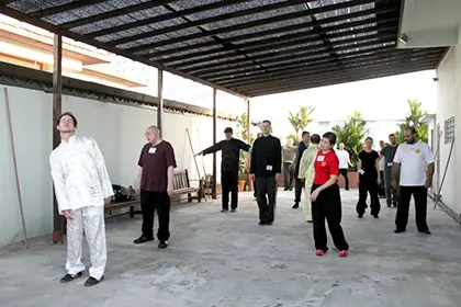 Qi Flow - spontane Bewegungen