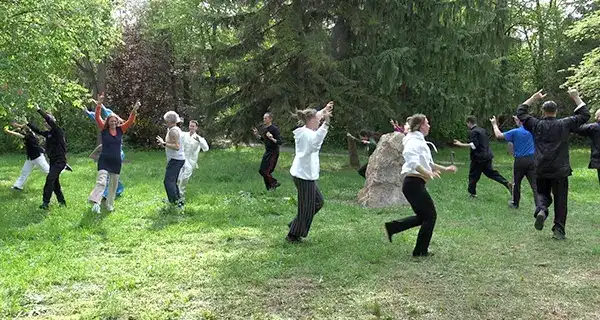 Deer of 5 Animal Play