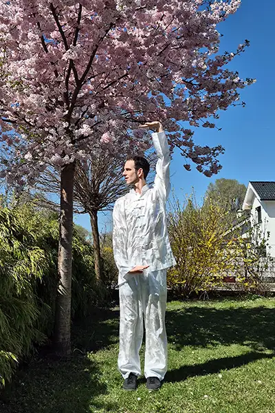 Qi Gong as Moving Meditation