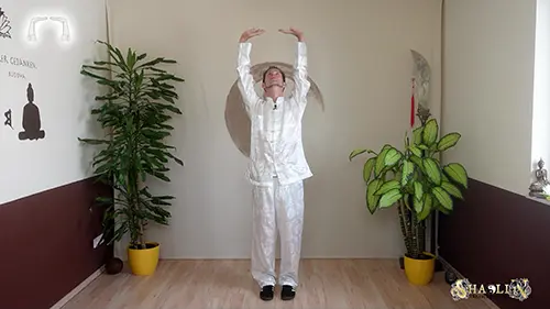 Qi Gong Online Lessons