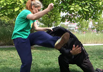 Shaolin Kung Fu Application