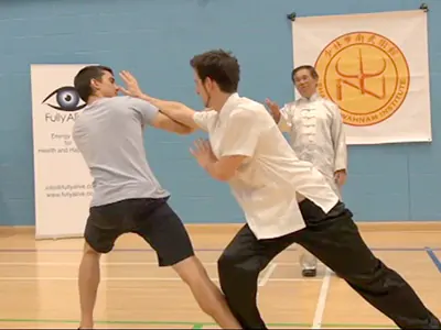 Kung Fu Sparring Supervision Master