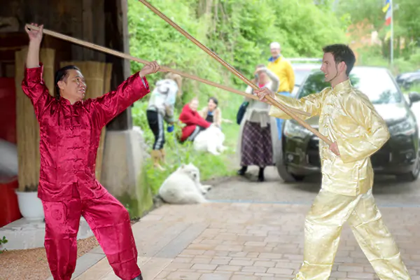 Shaolin Stock Anwendung