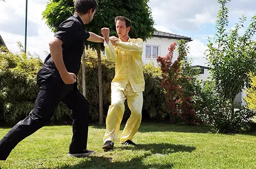 Southern Shaolin Kung Fu Application